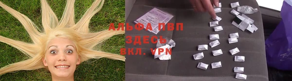 стафф Богданович