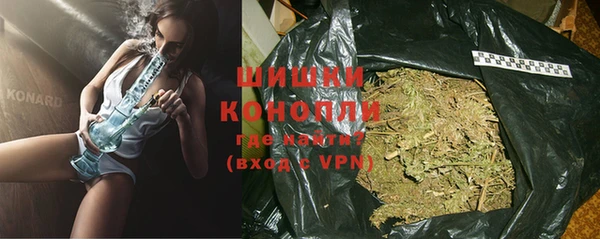 стафф Богданович