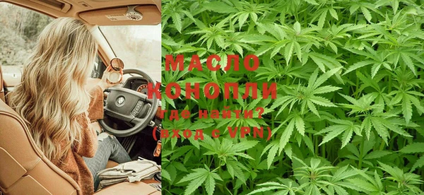 стафф Богданович