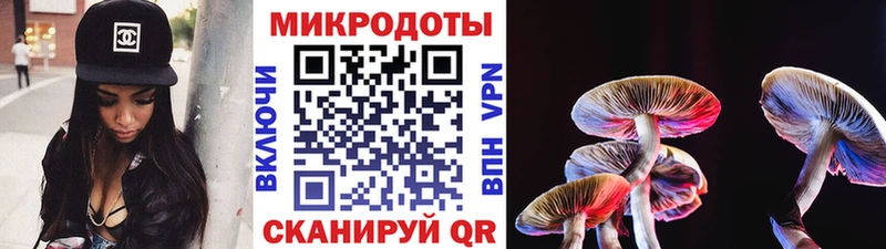 Купить где  Дигора  Псилоцибиновые грибы MAGIC MUSHROOMS 